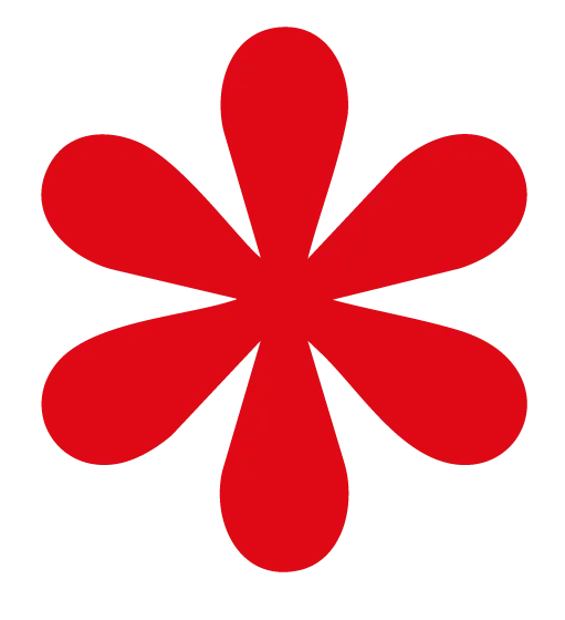 Elegant Star Decor